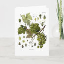 Search for grapes cards Vine