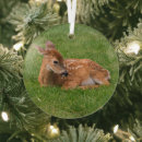 Search for fawn christmas tree decorations Deer