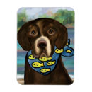 Search for duck hunter magnets Hunters