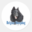 Search for belgian stickers Dog