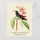 Search for sapphire postcards Tropical