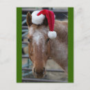 Search for farm animal christmas cards Pet