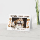 Search for shih tzu birthday cards Pets