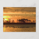 Search for migrating postcards Landscape