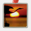 Search for great blue heron christmas tree decorations Avian
