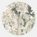 Search for coral background stickers Ocean