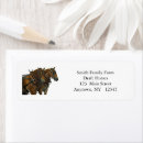 Search for team return address labels Equine