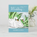 Search for blue swans wedding invitations Wildlife