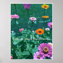Search for smells posters Flowers