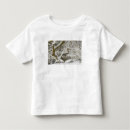 Search for acer clothing Oriental