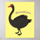 Search for black swan posters Bird
