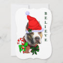 Search for pit bull christmas cards Xmas