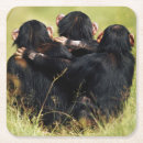 Search for commons barware Monkey