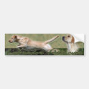 Search for hunting dog bumper stickers Dogs