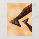 Search for spotty postcards Spots