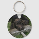 Search for labradoodle key rings Puppy