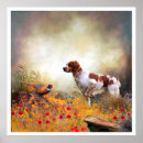 Search for brittany spaniel posters Epagneul breton