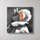 Search for rose colored art Botanical