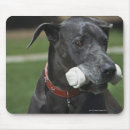 Search for dane mousepads Canine
