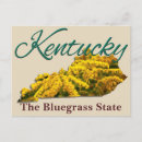 Search for bluegrass postcards The bluegrass state