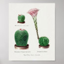 Search for alo posters Vintage
