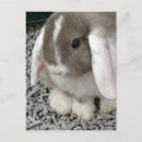Search for lop postcards Mini