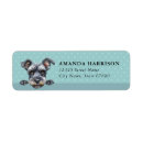 Search for miniature schnauzer return address labels Puppy