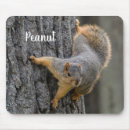 Search for squirrel mousepads Grey