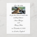 Search for cat wedding save the dates Marriage