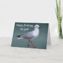 Search for gulls cards Bird