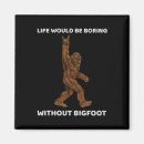 Search for boring magnets Cool