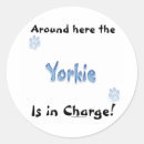 Search for yorkshire stickers Dog