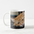 Search for mondays mugs Meme