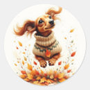 Search for dachshunds stickers Fun