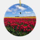 Search for hot air balloon christmas tree decorations Yellow