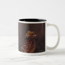 Search for owl picture mugs Wildlife