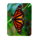 Search for pollinating magnets Pollinate