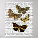 Search for moth posters Butterfly