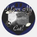 Search for i love cats stickers Kitten