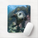 Search for seal mousepads Beach