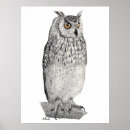Search for owl drawing posters Bird