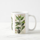 Search for herb mugs Food