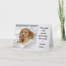 Search for dog groomer christmas cards Veterinarian