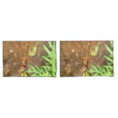 Search for wings pillowcases Nature