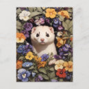 Search for ferrets postcards Flowers