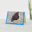 Search for cloak cards For her