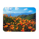 Search for hillside magnets Flower