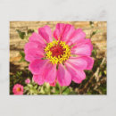 Search for multicolor postcards Red