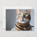 Search for bengal cards invites Cute