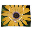 Search for daisy gift bags Nature